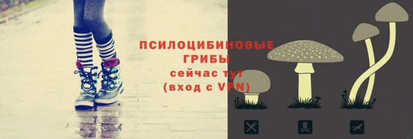 ECSTASY Армянск