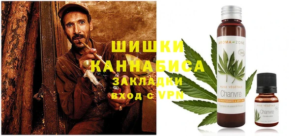 стаф Балахна
