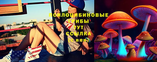 стаф Балахна